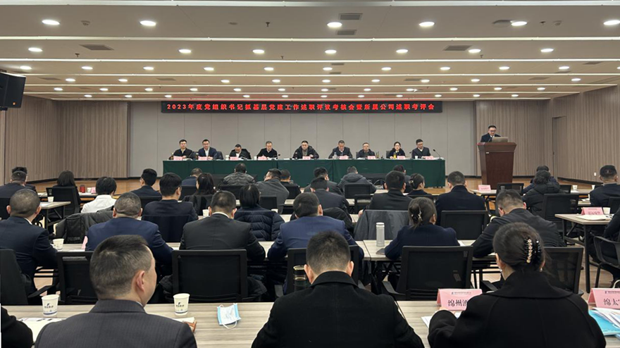 易游 （中国版权）官方网站集团党委召开2023年党组织书记抓基层党建述职评议会